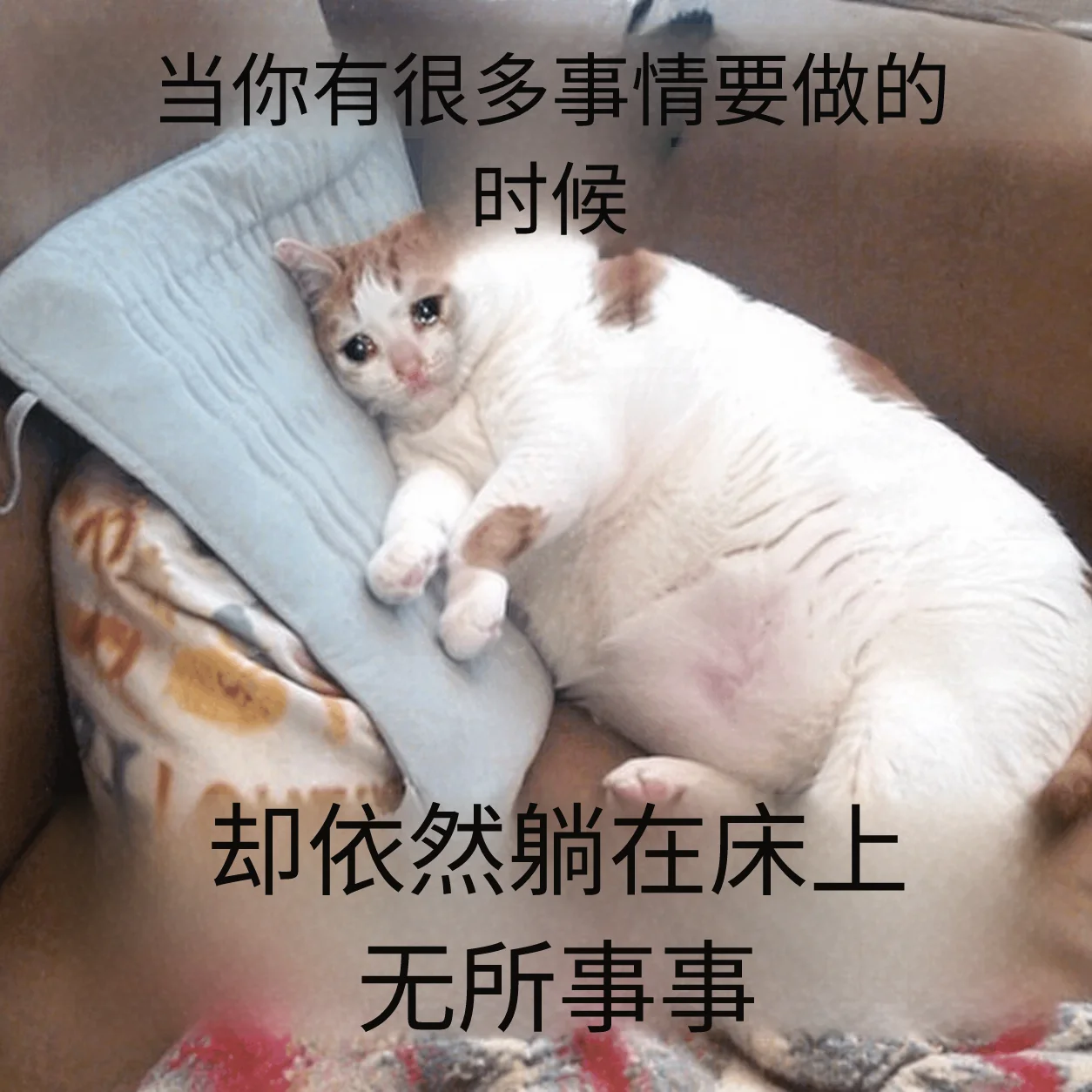 Meme translated to Chinese by AI