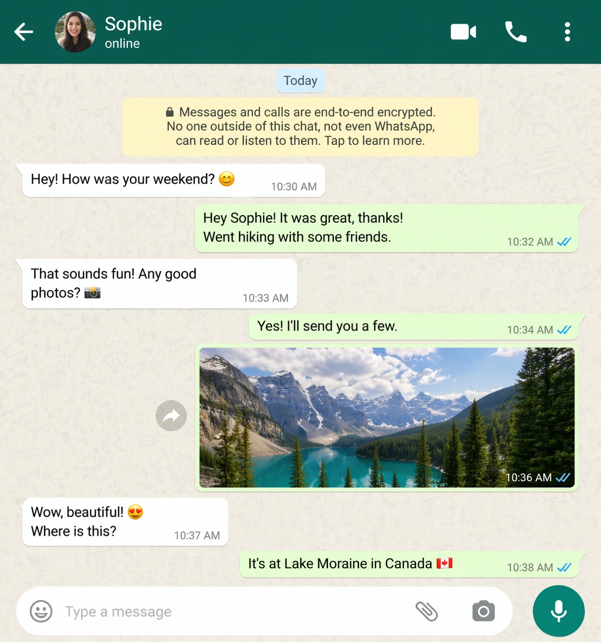 Chat screenshot — original