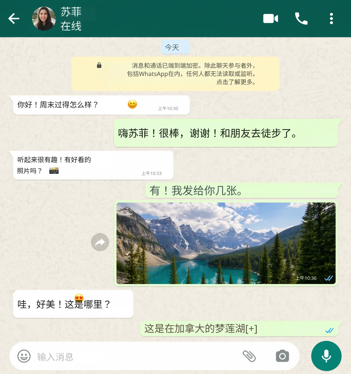 WhatsApp chat translated to Chinese by AI